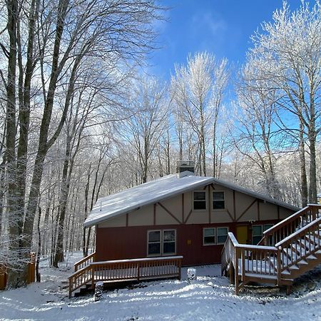 Cozy Cabin With Boosted Wi-Fi Beech Mountain Exteriér fotografie