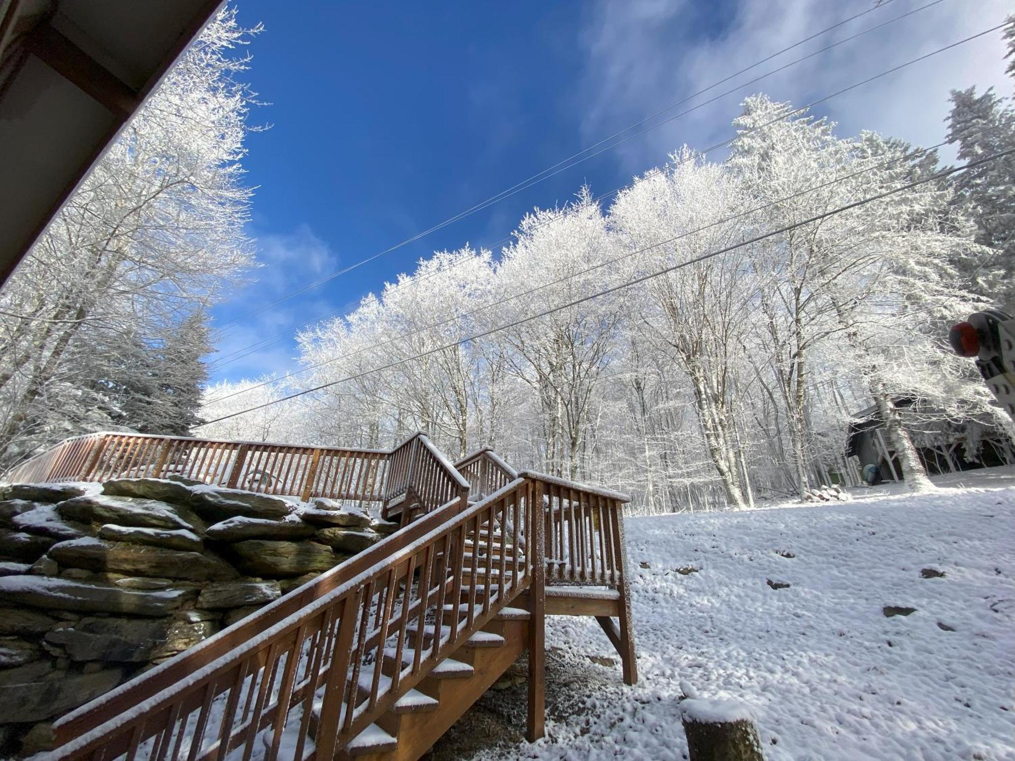 Cozy Cabin With Boosted Wi-Fi Beech Mountain Exteriér fotografie
